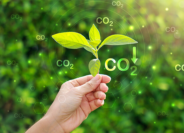 Desarroyo y sustentabilidad con medición de huella de carbono en Cancún