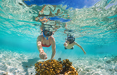 Snorkel en el Caribe, una de las mejores actividades que hacer en Cancún