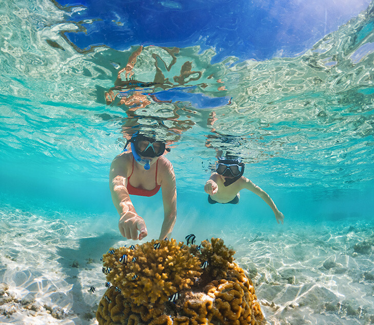 Snorkel en el Caribe, una de las mejores actividades que hacer en Cancún
